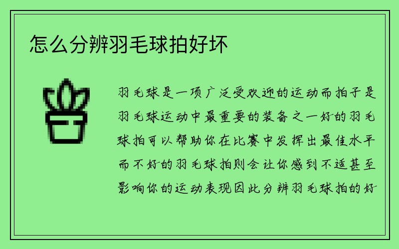 怎么分辨羽毛球拍好坏