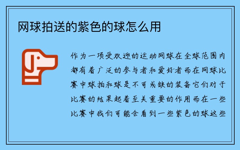 网球拍送的紫色的球怎么用